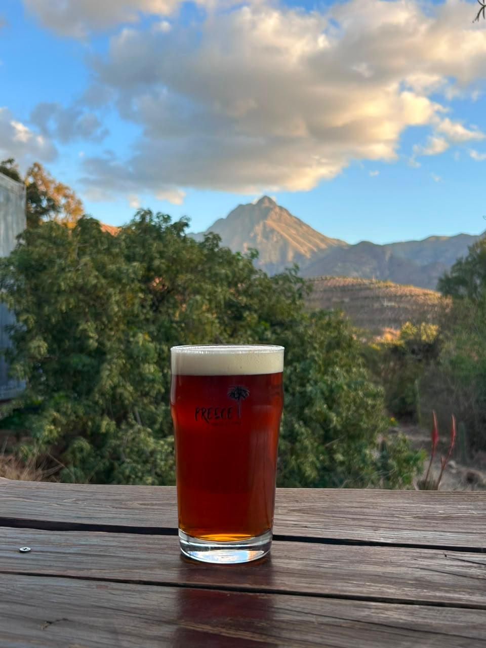 Flor de Quebracho — Hazy IPA de Cerveza Preece